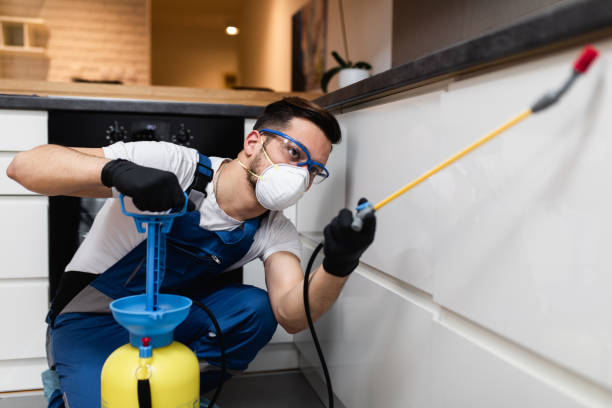 Best Affordable Pest Control Services  in Laflin, PA