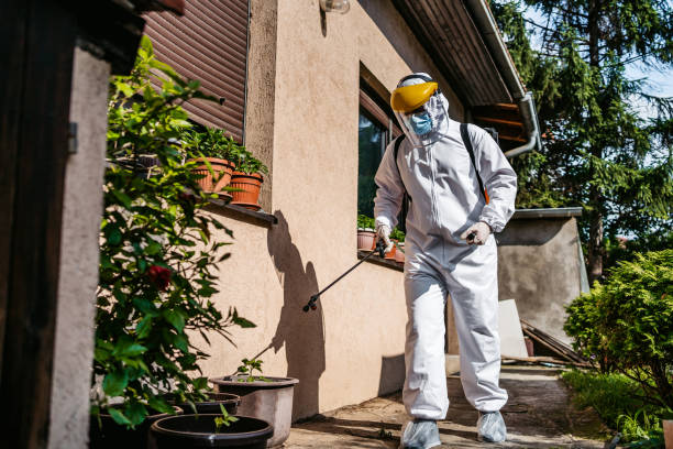 Best Cockroach Control Services  in Laflin, PA