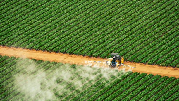 Best Mosquito Control Services  in Laflin, PA